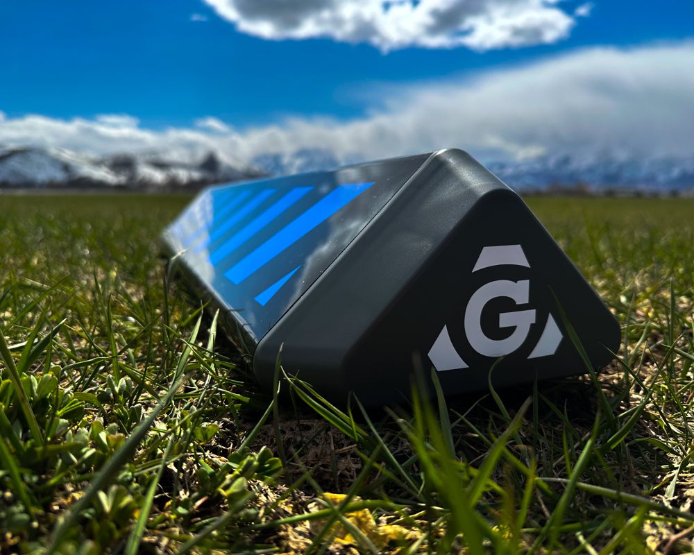 Guttrball on the grass with snowy mountains behind
